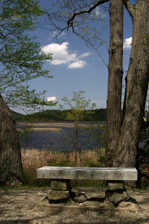 Thompson's Pond